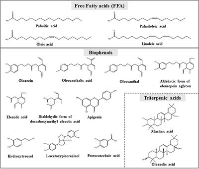 Olive Oil Quality and Authenticity Assessment Aspects Employing FIA-MRMS and LC-Orbitrap MS Metabolomic Approaches